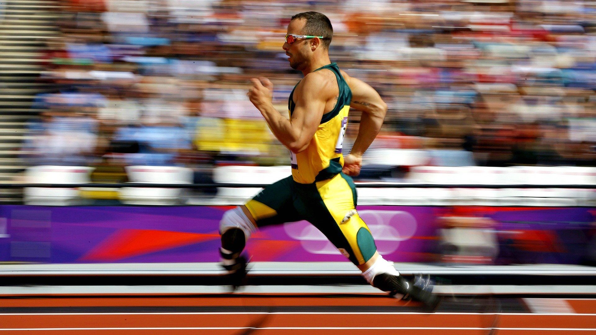 体育新闻中心深度观察栏目上线,体育新闻报道栏目